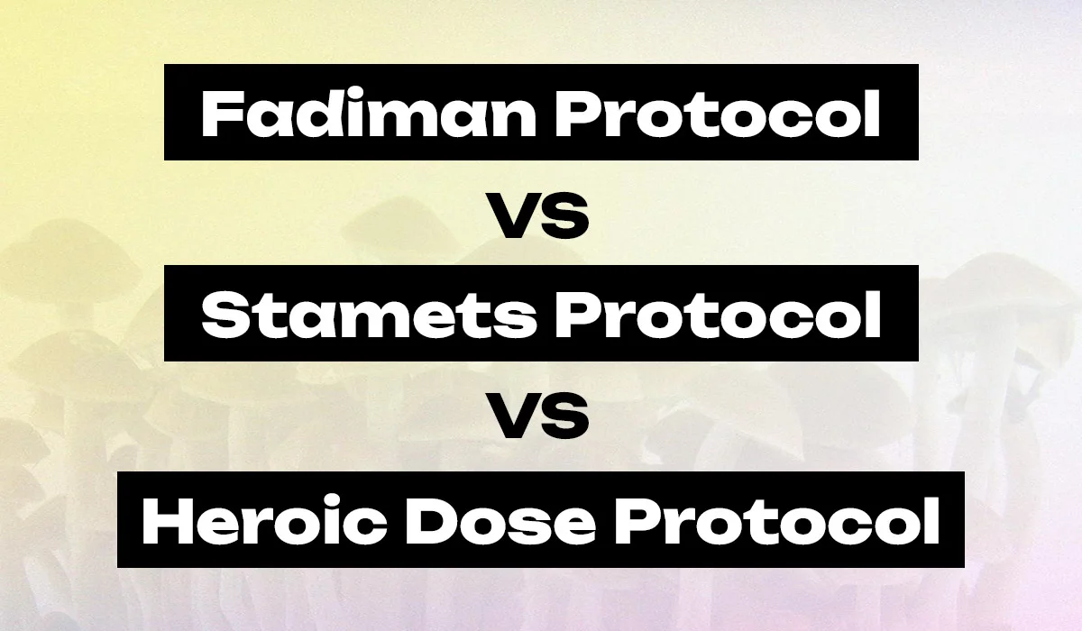 Fadiman Protocol vs Stamets Protocol vs Heroic Dose Protocol