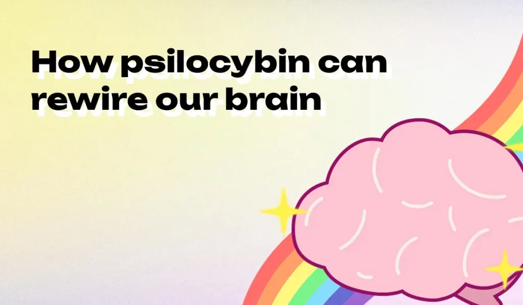 How Can Psilocybin Affect Mental Health?