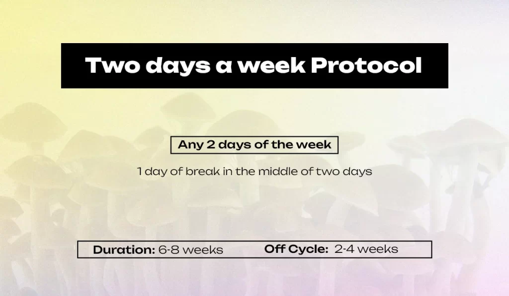 Two days a week protocol