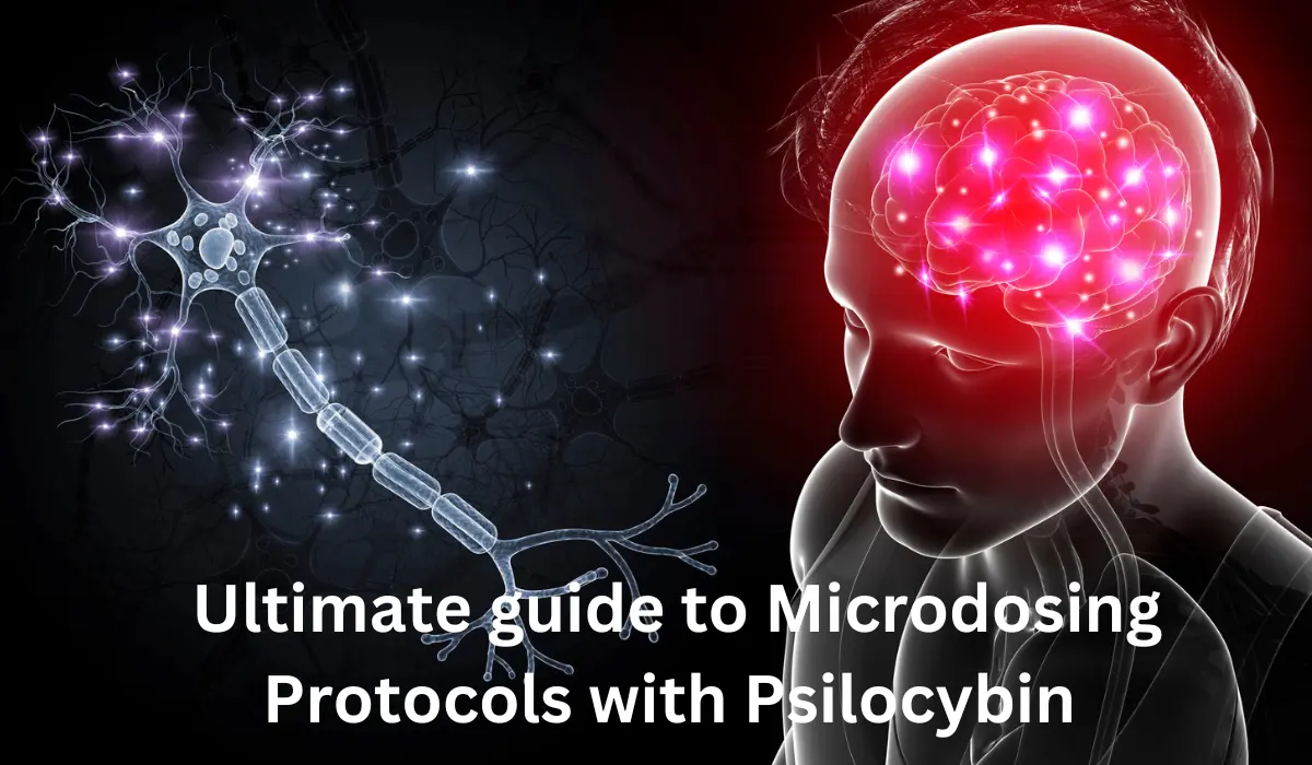 Ultimate guide to microdosing protocols with Psilocybin