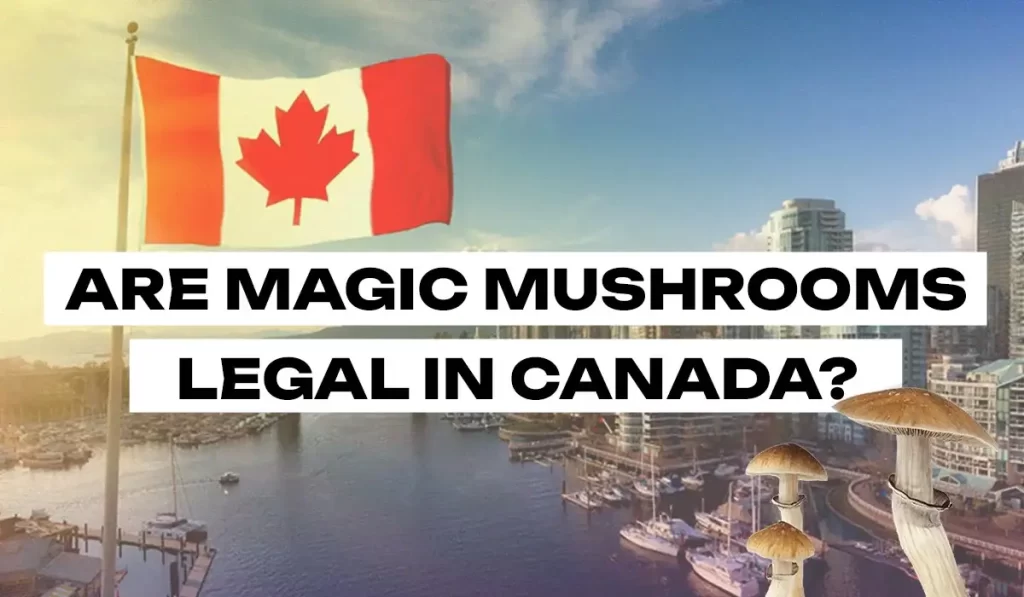 Are magic mushrooms legal in Canada?