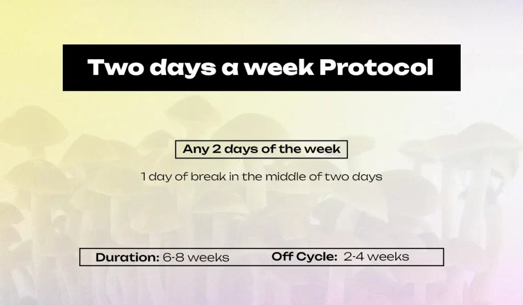 What is the 2 Days a Week Microdosing Protocol?