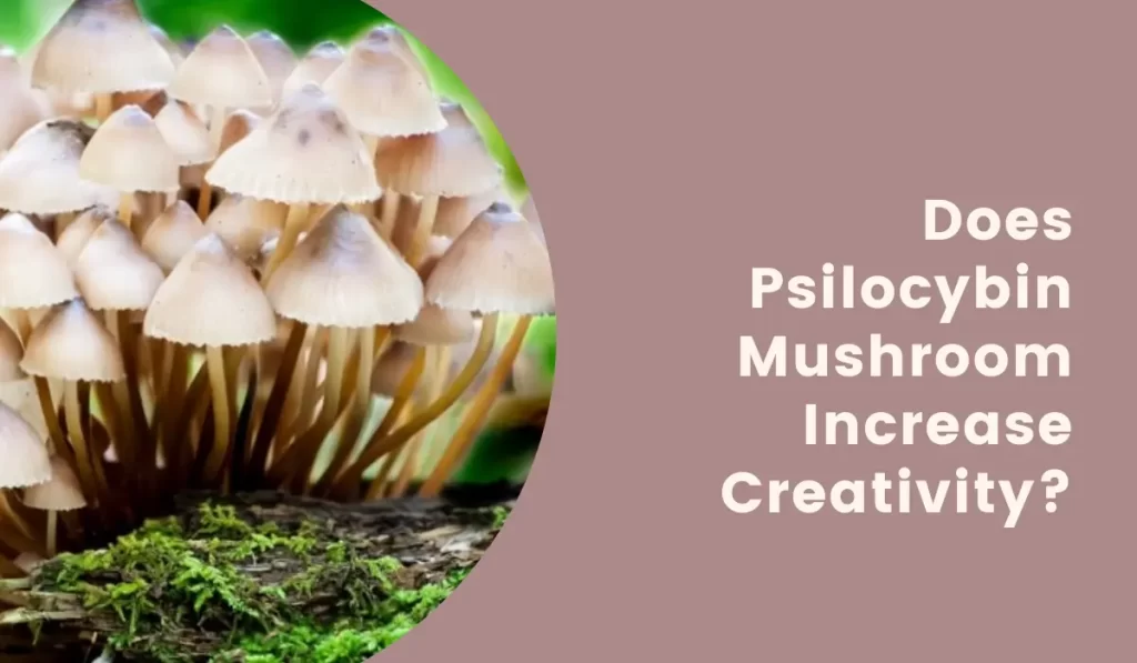 Does Psilocybin Mushroom Increase Creativity