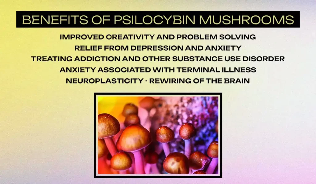 Benefits of Psilocybin Mushrooms