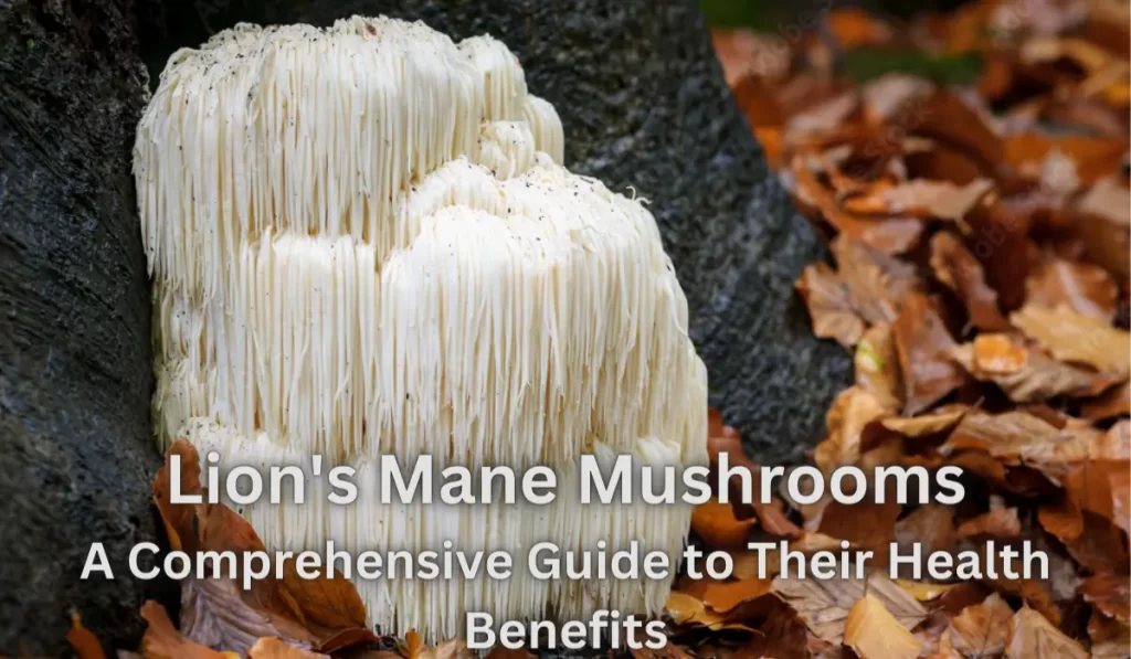 Lions Mane Mushrooms A comprehensive guide to their health benefits