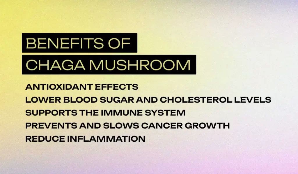 Benefits of Chaga Mushroom
