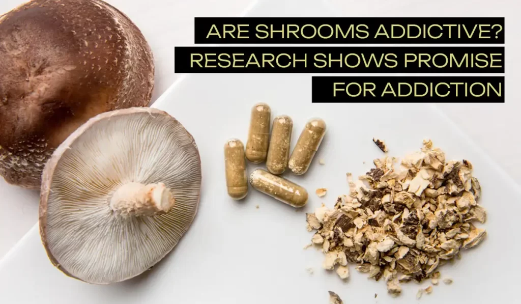 Are Shrooms addictiv research shows promise for addiction