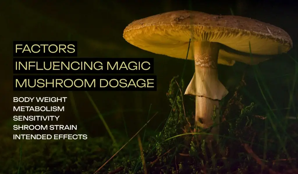 Shroom Dosage 🍄 Psilocybin Doses And Their Varied Effects