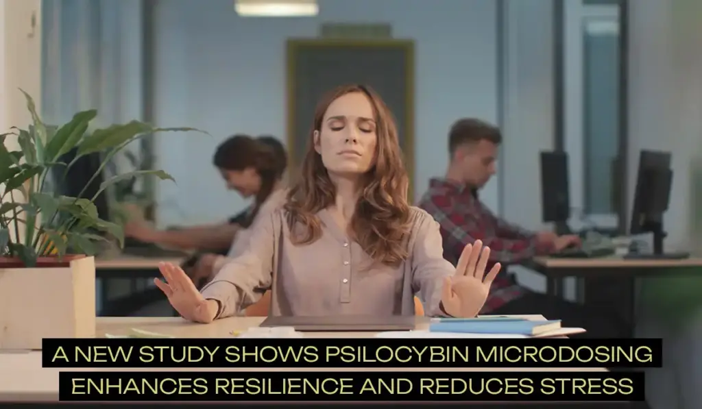 A-new-study-shows-Psilocybin-microdosing-enhances-resilience-and-reduces-stress