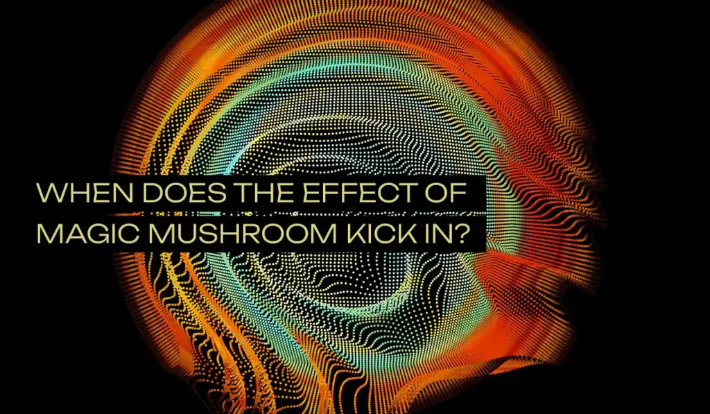 When does the effect of magic mushroom Kick In?