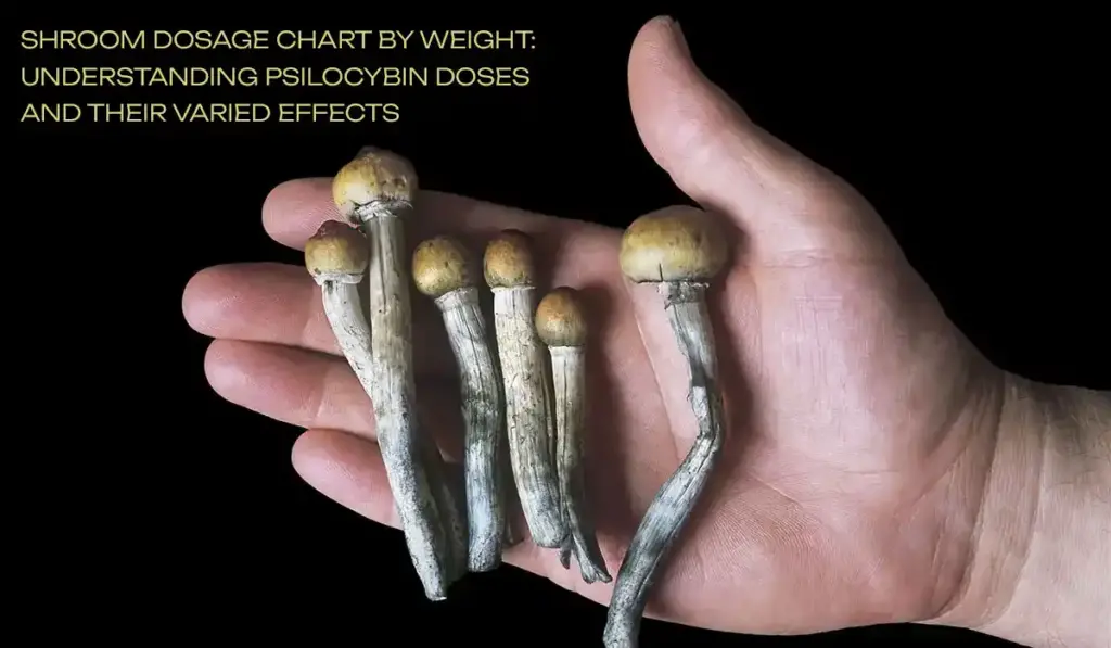 Shroom Dosage Chart By Weight: Understanding Psilocybin Doses and Their Varied Effects