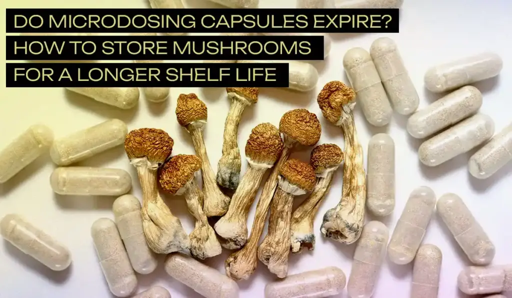 Do-Microdosing-Capsules-Expire