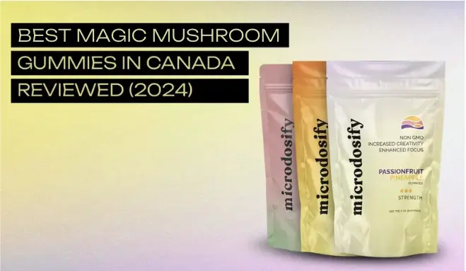 Best Magic Mushroom Gummies