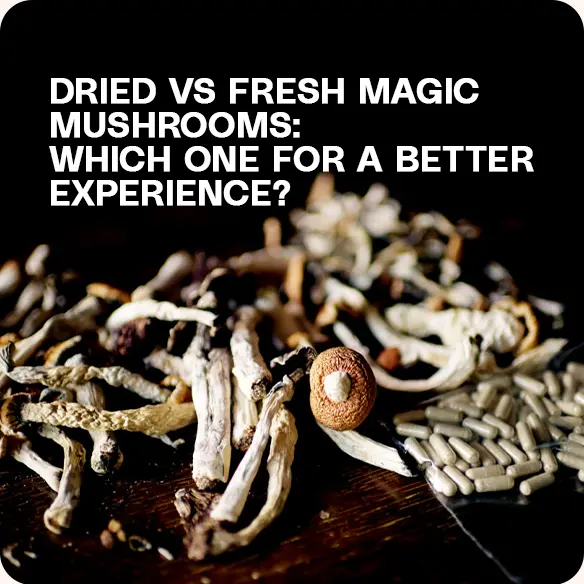 A mix of dried and fresh magic mushrooms on a dark surface.