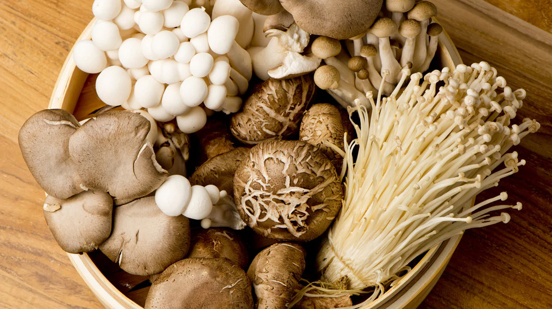 The Best Nootropic Mushrooms