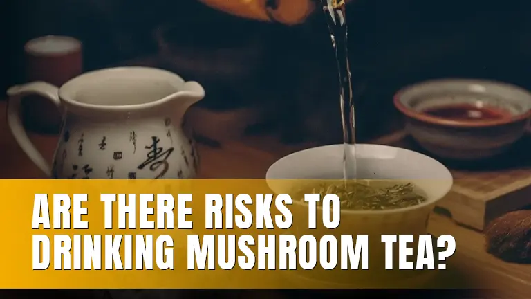 Tea being poured into a cup.