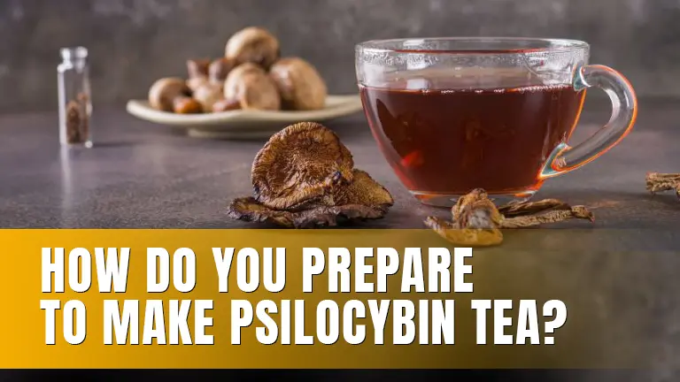 Psilocybin tea next to dried mushrooms on a table.