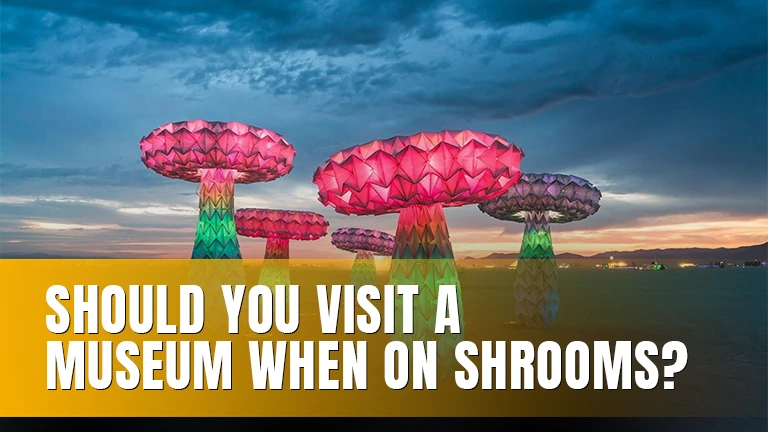 Artistic glowing mushrooms in a landscape at sunset.
