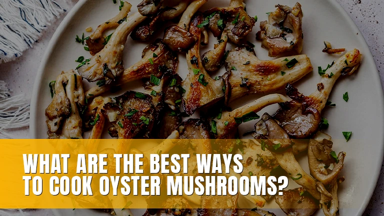 Cooked oyster mushrooms on a plate.