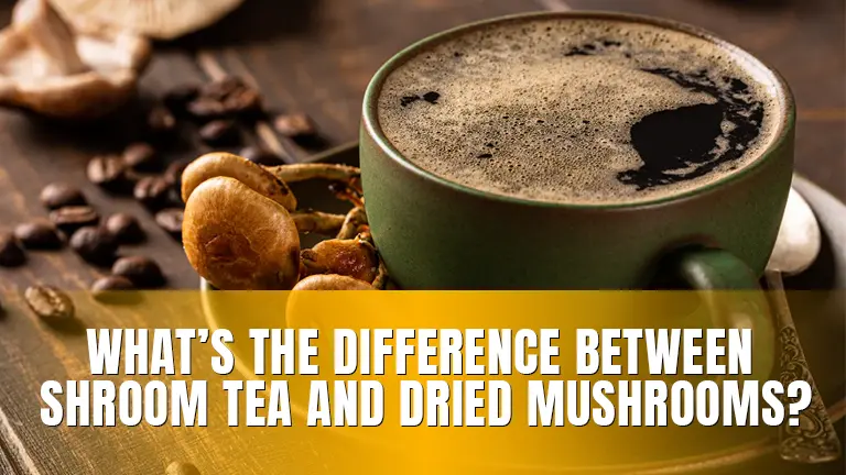 A cup of dark mushroom tea with dried mushrooms and coffee beans on a wooden table.