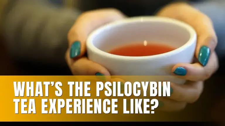 A person holding a white cup of tea.
