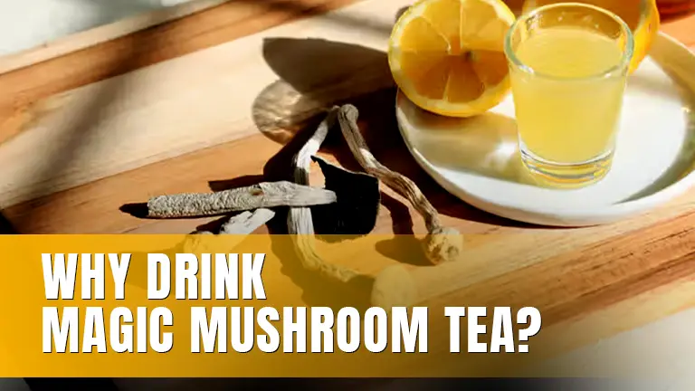 Dried mushrooms and lemon slices on a wooden tray.