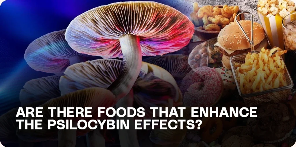 Psilocybin mushrooms with with fries, burgers, and donuts.