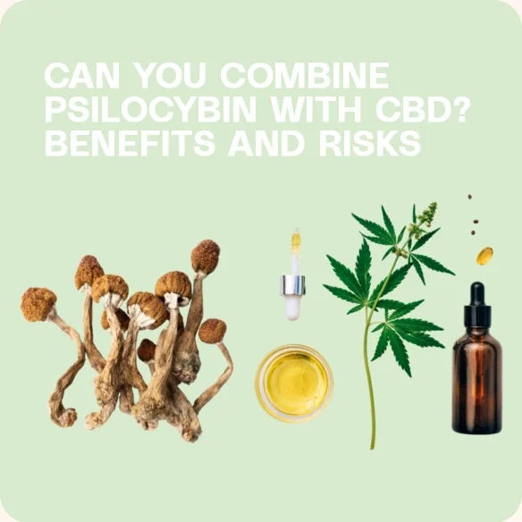 Dried psilocybin mushrooms, CBD oil, and cannabis leaf on a green background.