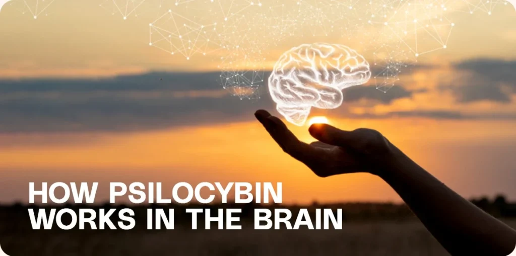 Hand reaching toward a glowing brain at sunset