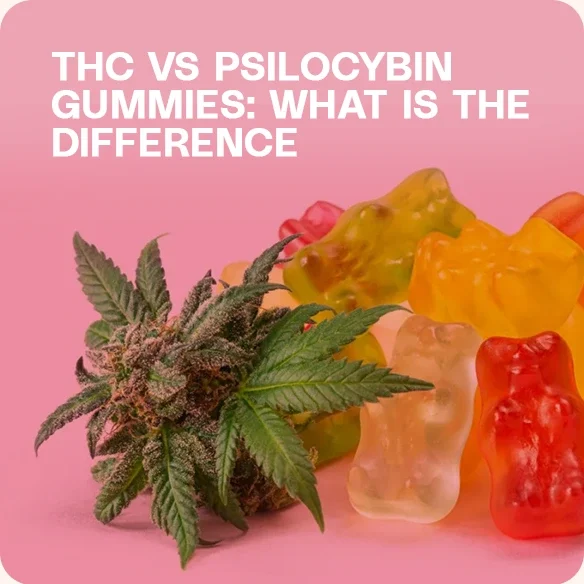 THC vs Psilocybin Gummies on a pink background.