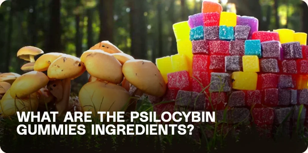 Mushrooms and gummy cubes in a forest setting