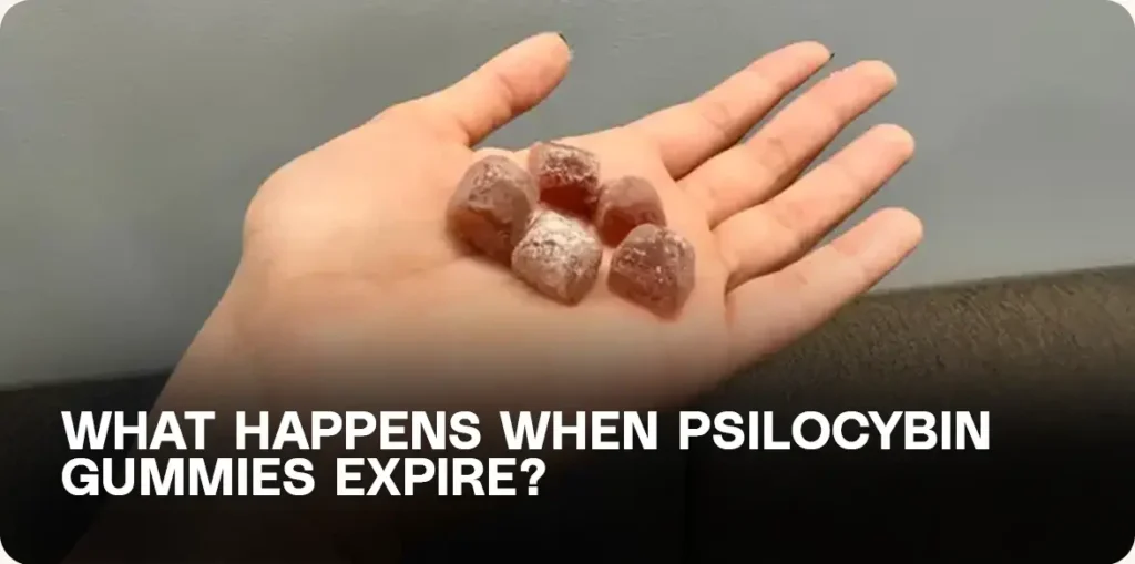 Hand holding five sugar-coated gummies.