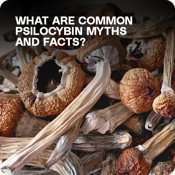 Psilocybin Myths