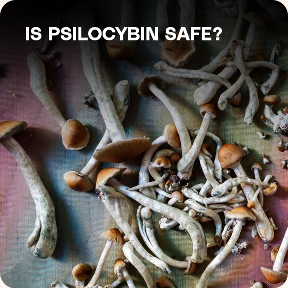 Psilocybin and safety