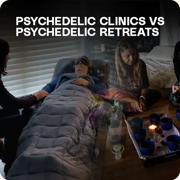 Psychedelic clinics and retreats