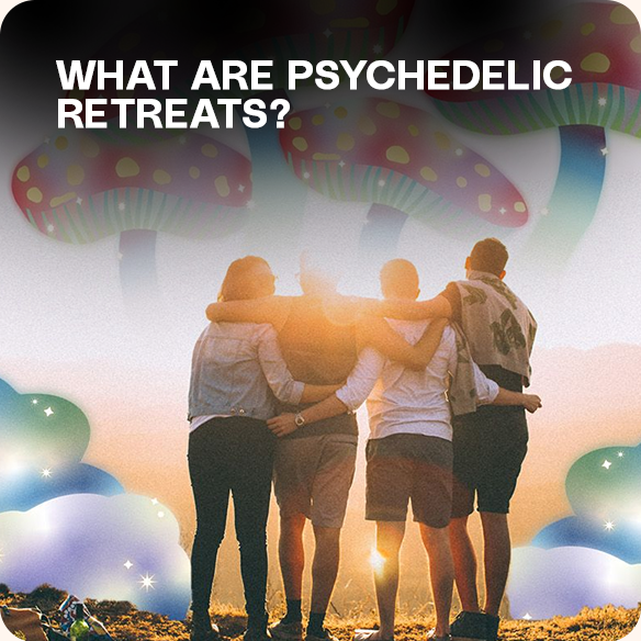 Psychedelic Retreats