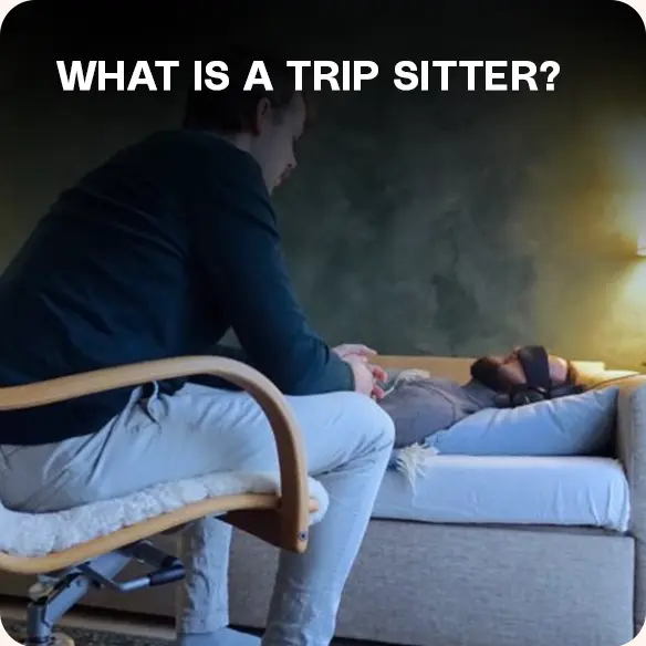 Trip Sitter