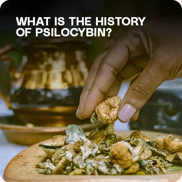 Magic Mushroom History