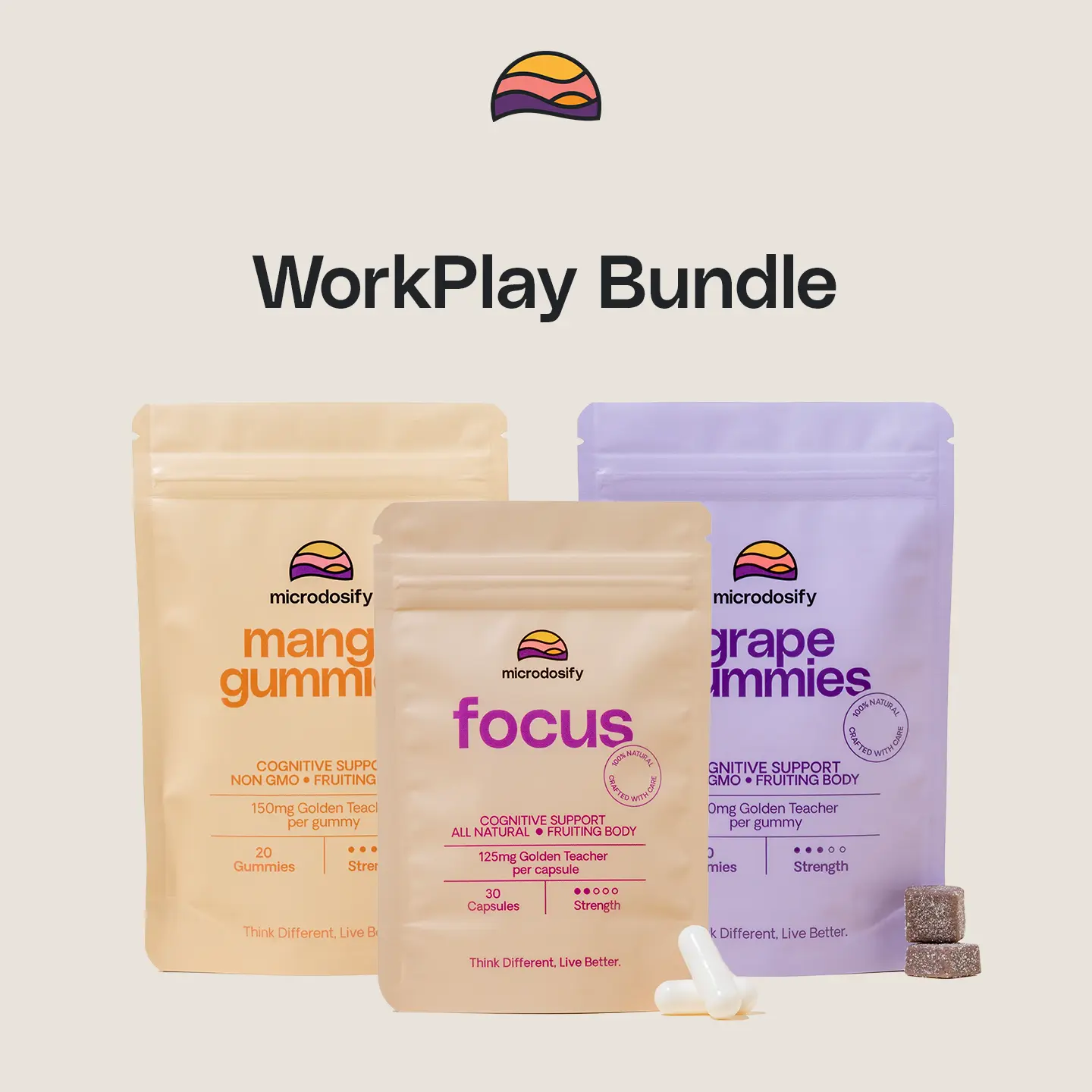 WorkPlay Bundle